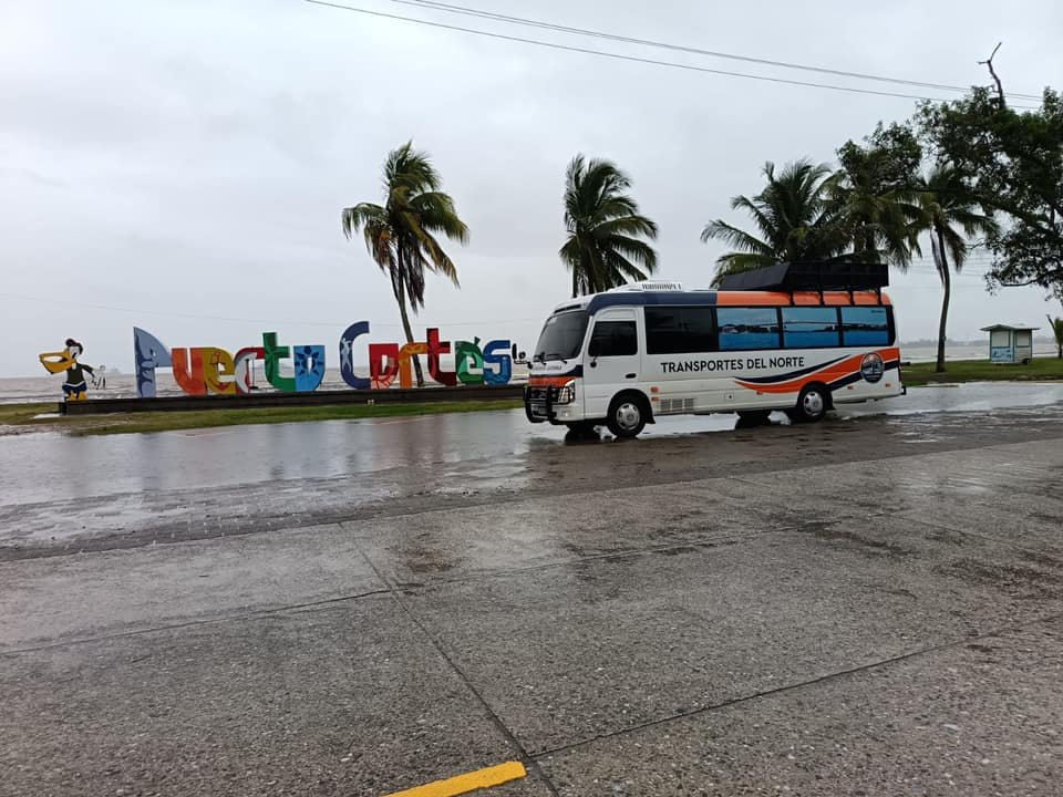 Interior cómodo de buses seguros
